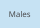 Males