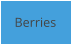 Berries